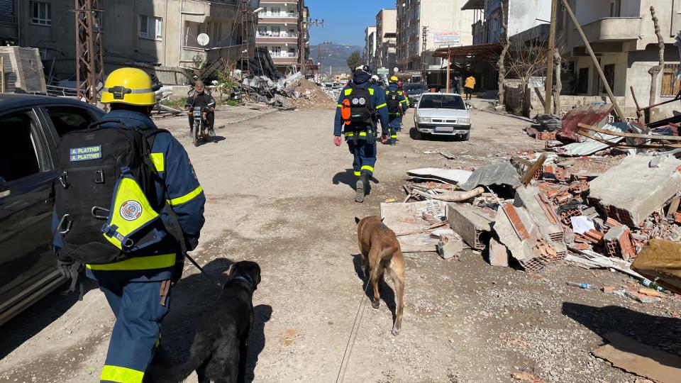Mitarbeitende des THW gehen mit angeleinten Hunden durch eine Straße mit beschädigten Häusern.