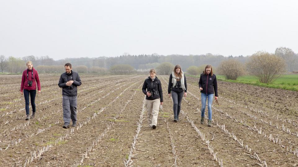 Nabu Münster: Freiwillige laufen über ein Feld und suchen Nester