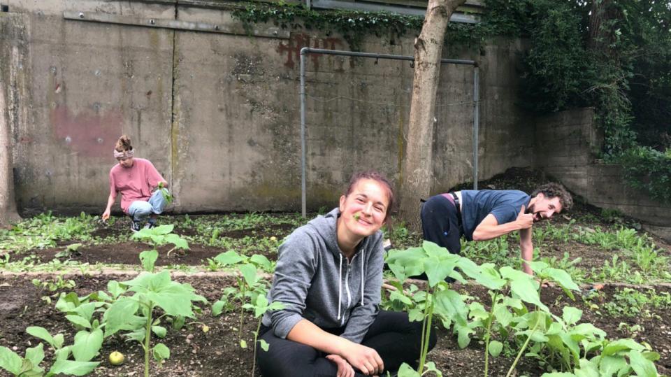 Drei junge Menschen knien beziehungsweise sitzen in einem Gemüsebeet