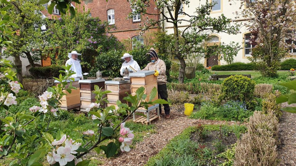 drei Imker stehen in Schutzkleidung im Klostergarten vor vier Bienenstöcken