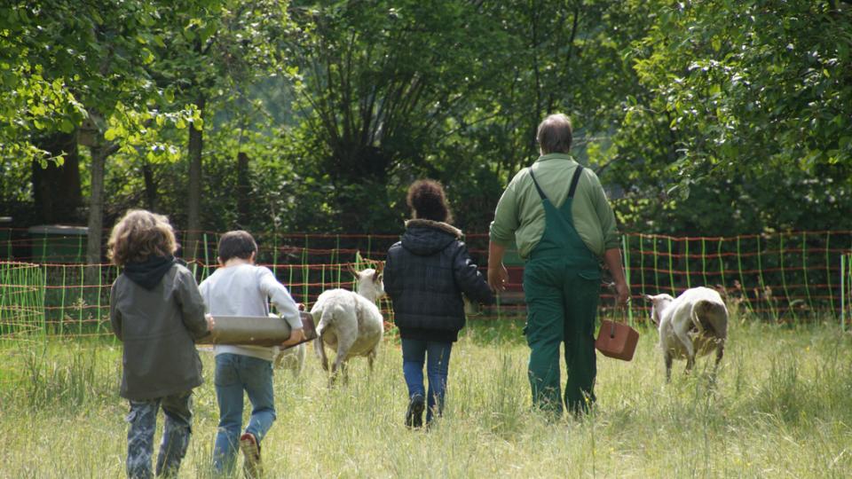 Zwei Schafe laufen vor vier Personen. Zwei Kinder tragen einen Ast, ein Mann trägt eine Werkzeugkiste.